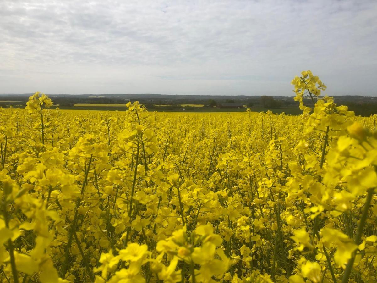 Rosloevs Gard Vackert Boende I En Naturskoen Miljoe. Flyinge 外观 照片