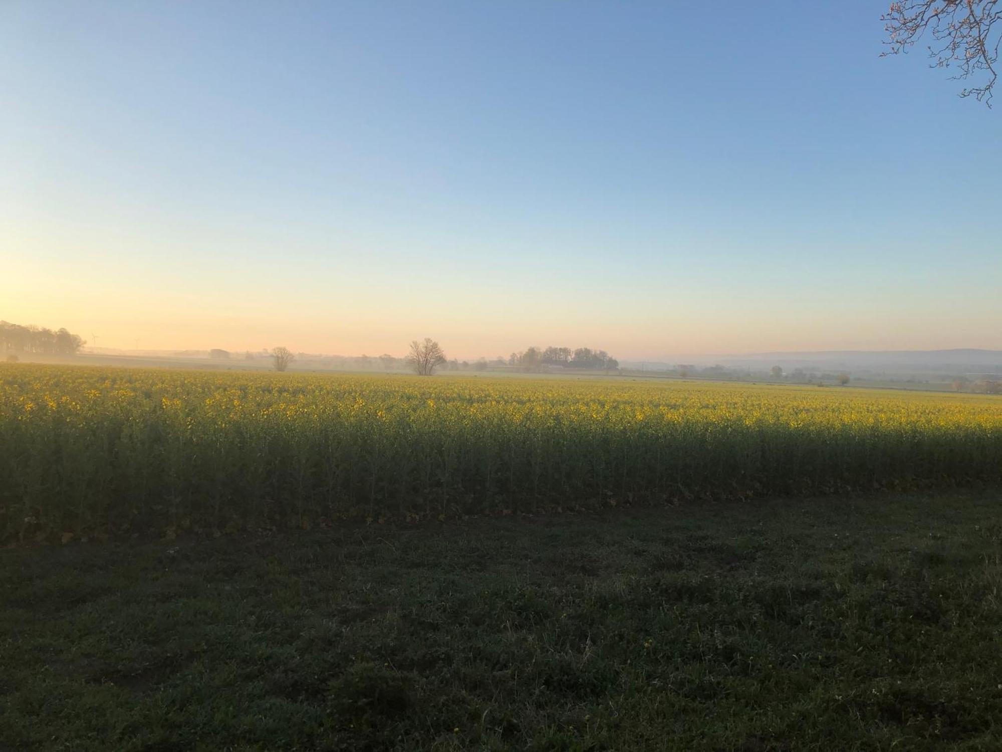 Rosloevs Gard Vackert Boende I En Naturskoen Miljoe. Flyinge 外观 照片